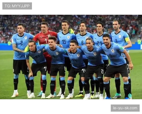 乌拉圭队战术革新备战新赛季，全新风貌引关注